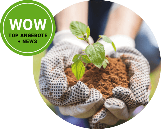 pflanze newsletter pflanze newsletter